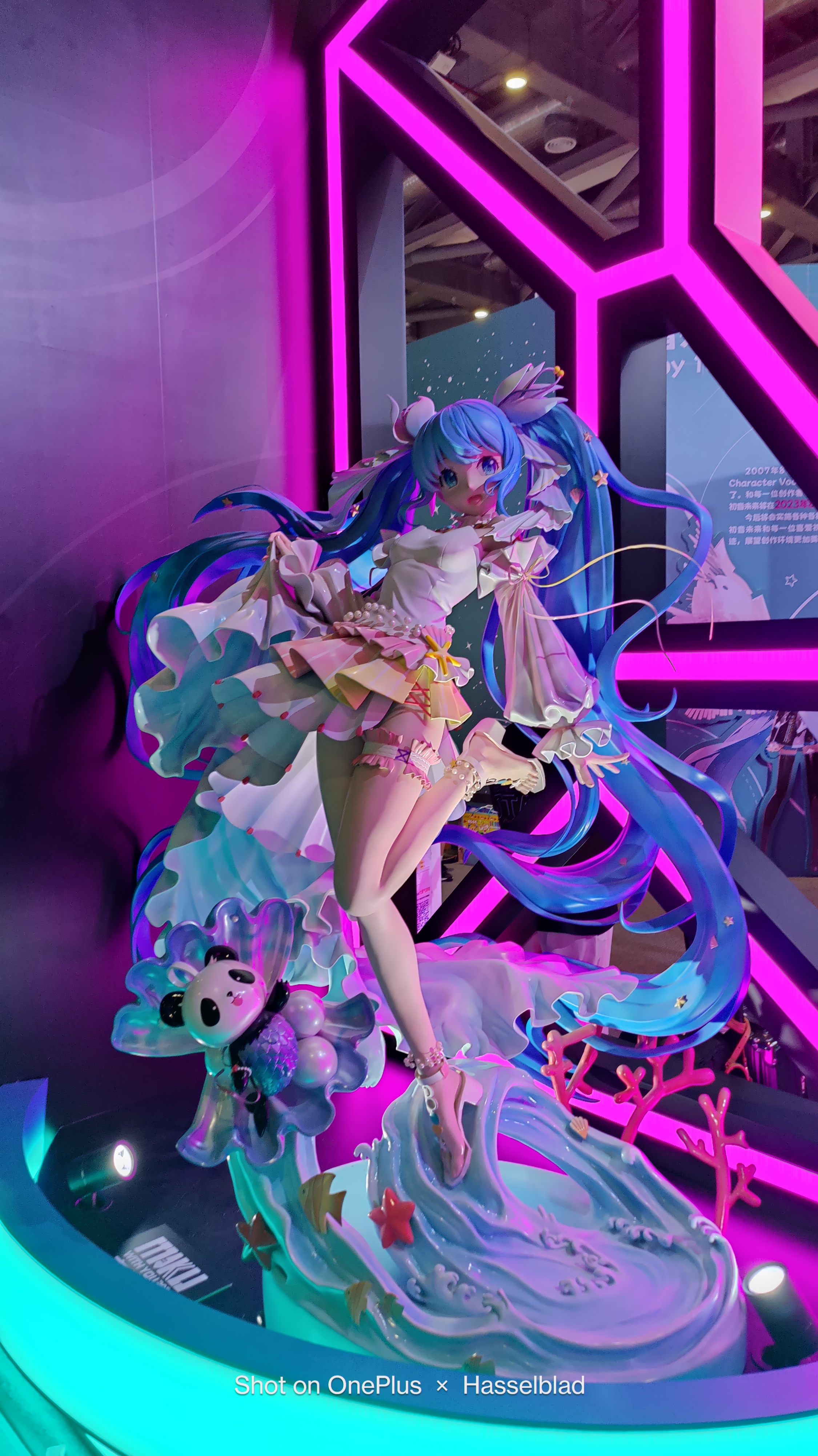 野生Miku一只，收摊时看人少才拍的